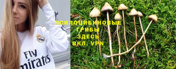 дурь Алексеевка