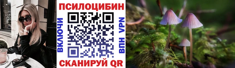 Галлюциногенные грибы мицелий  Дмитровск 