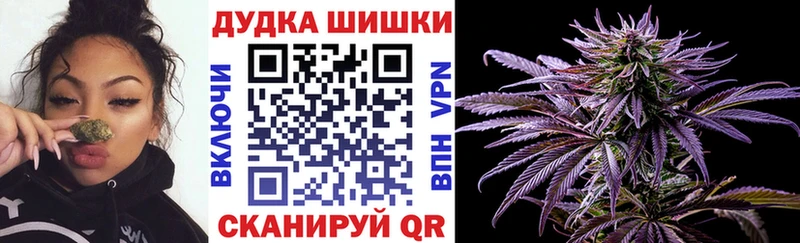 магазин  наркотиков  Дмитровск  OMG сайт  Бошки марихуана MAZAR 
